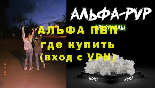 стафф Богородск