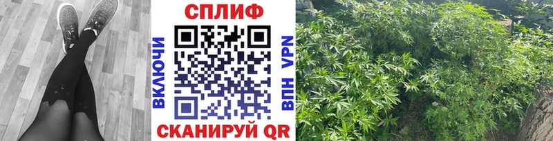 Шишки марихуана планчик Семёнов